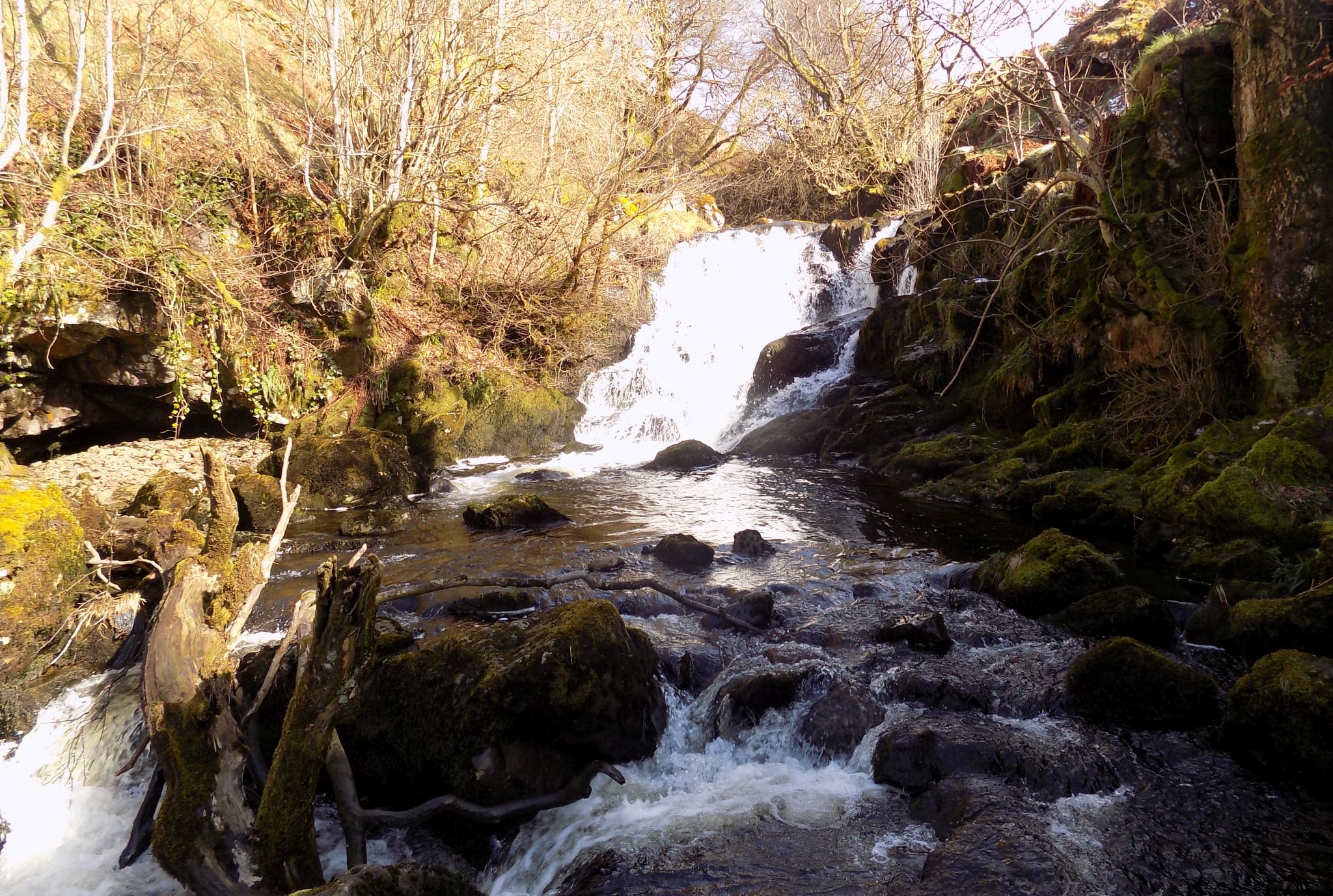 Kirk Burn in Campsie Glen