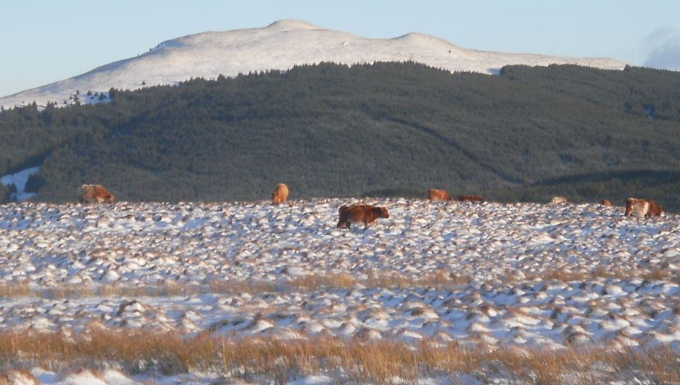 Meikle Bin in the snow-covered Campsie Fells