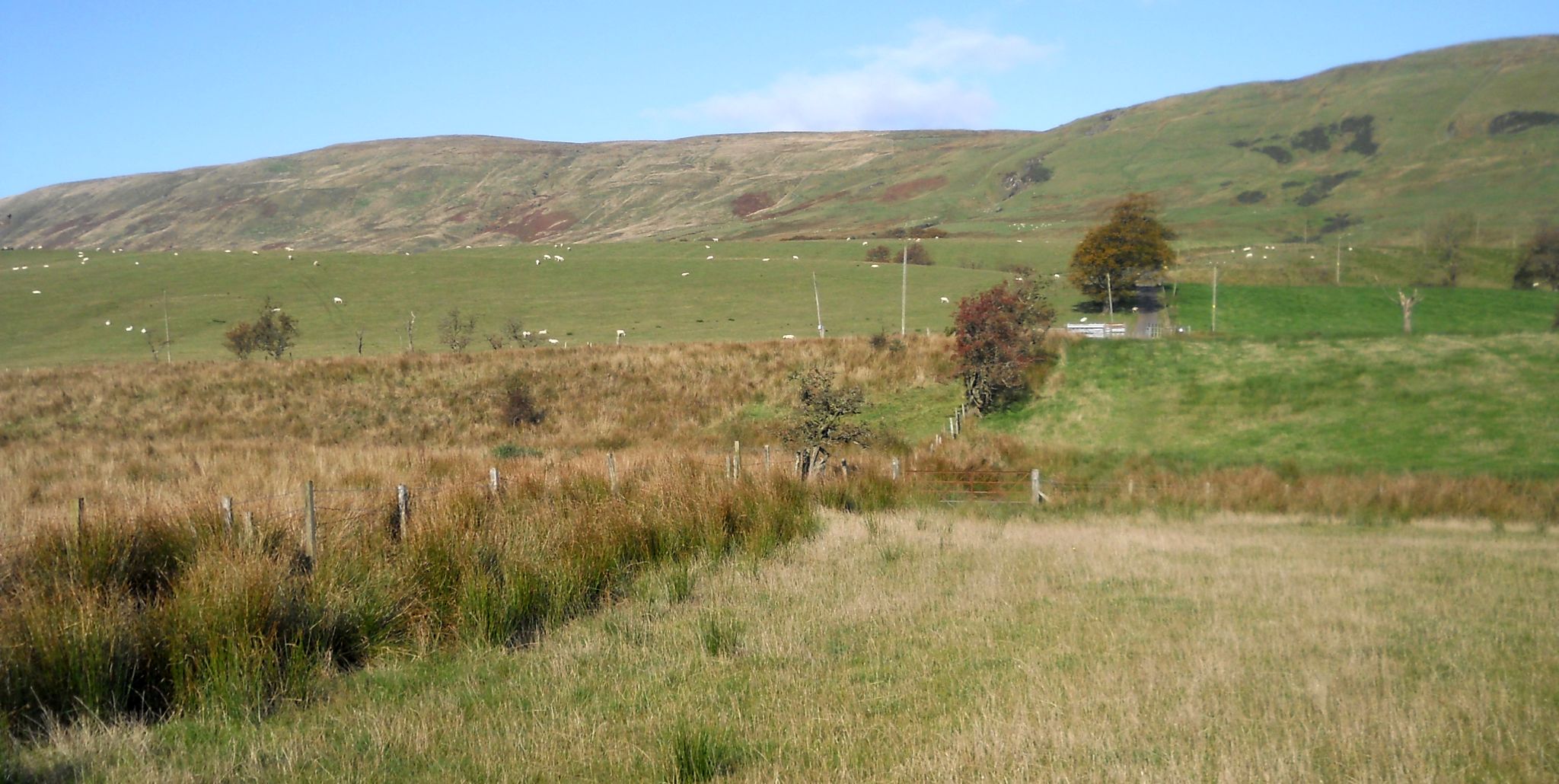 Campsie Fells on ascent to Brown Hill