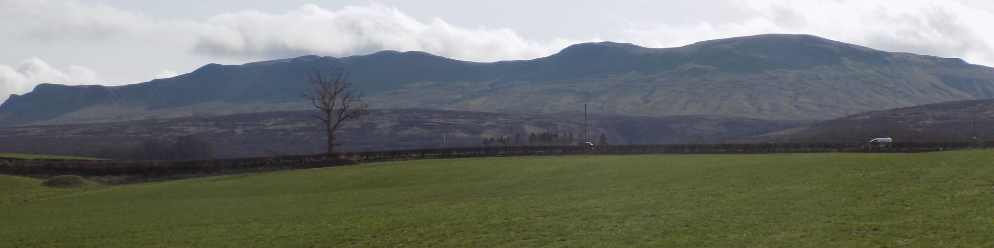 Campsie Fells from Carbeth Estate