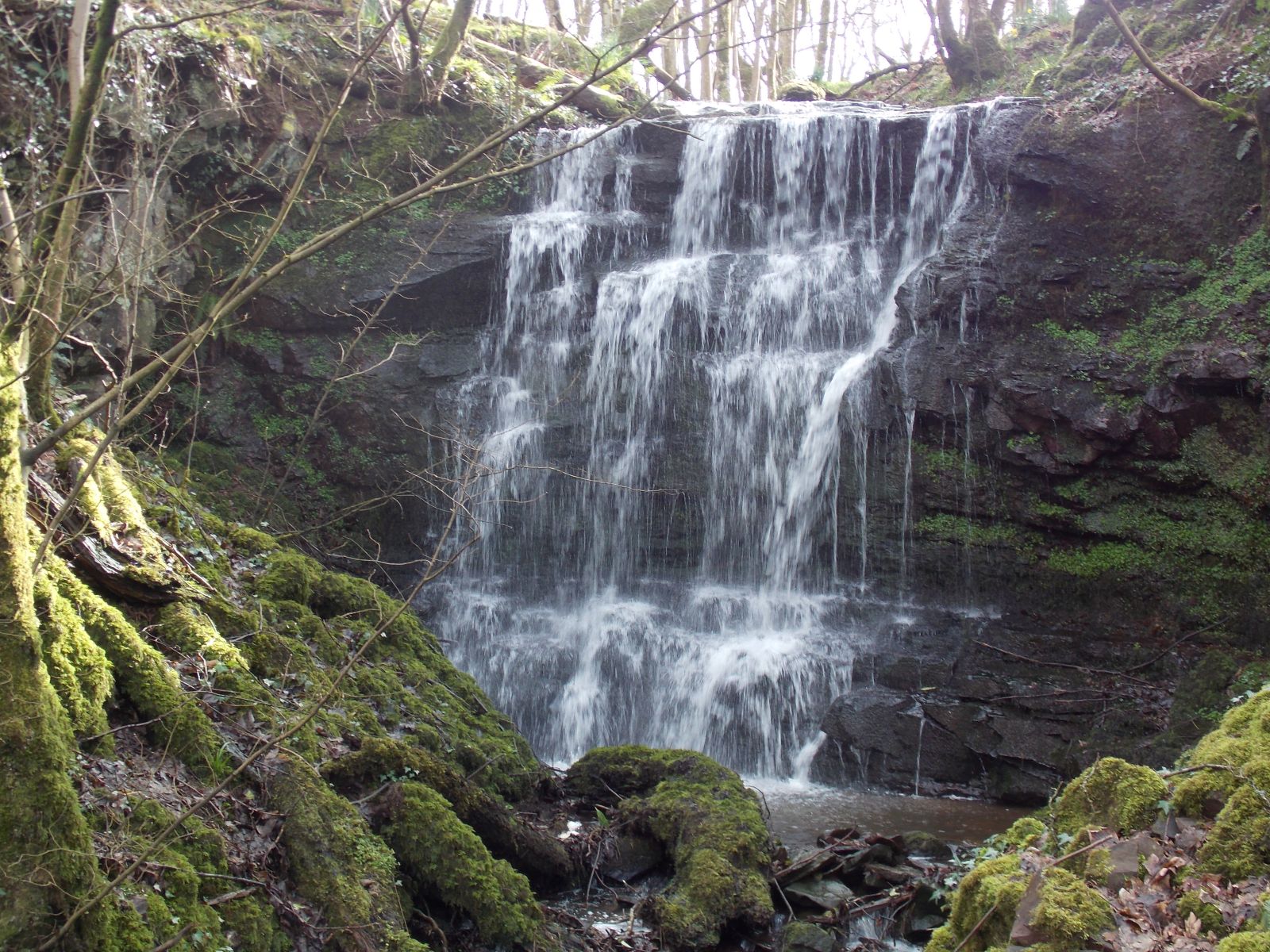 Blairessen Spout in Glen Wood in Carbeth Estate