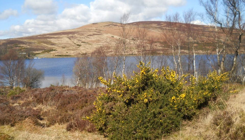 Bromley Muir from Carman Reservoir