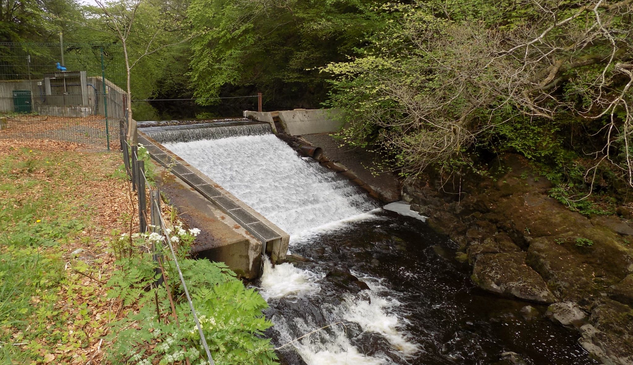 Fish Ladder on Carron River