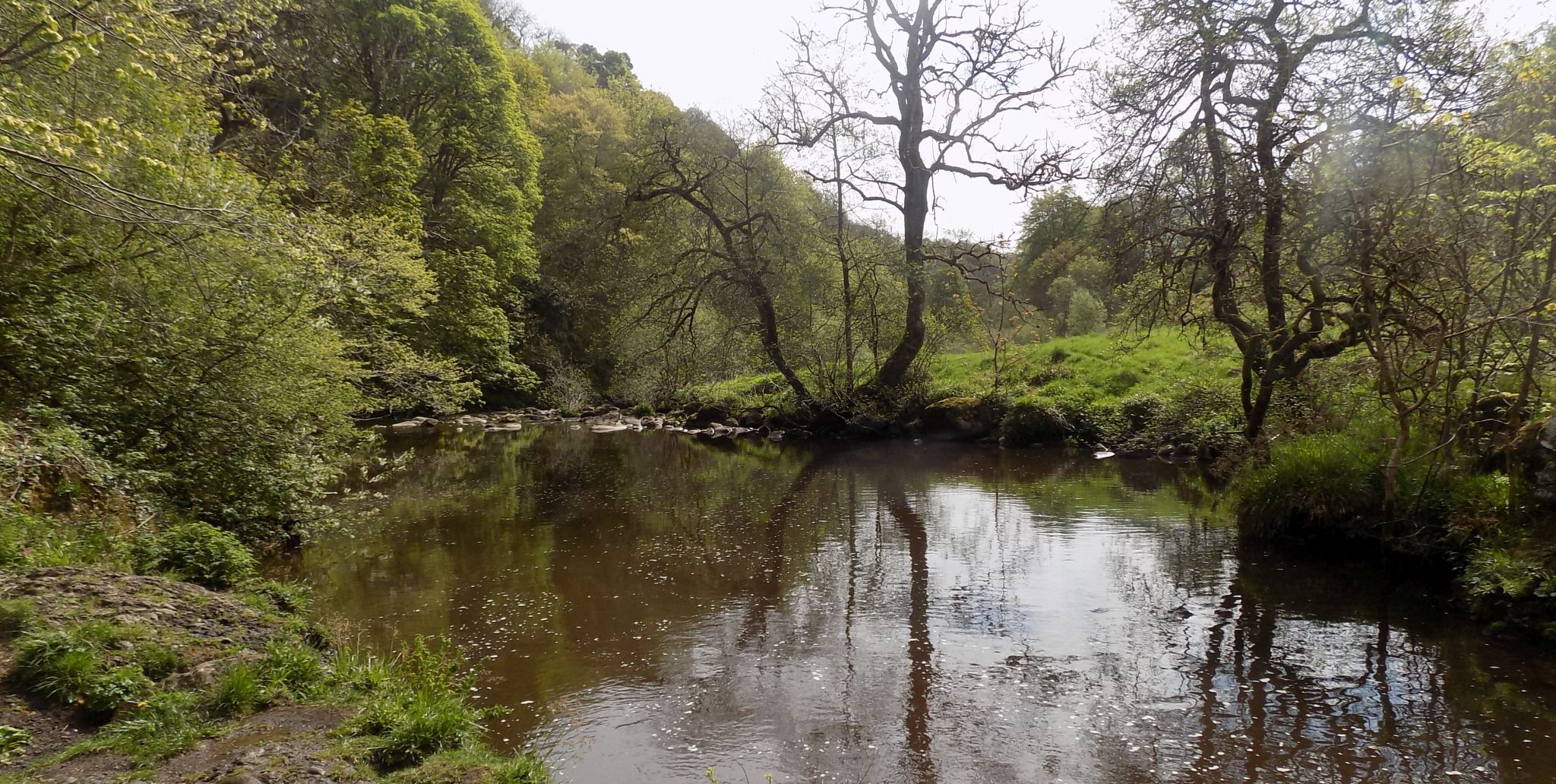 Carron River