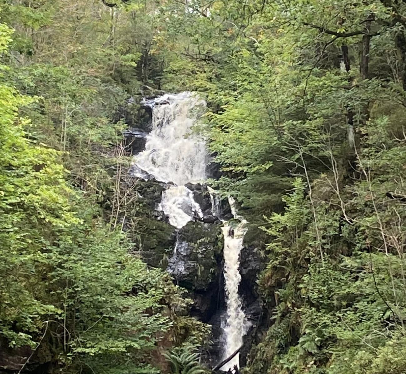 Waterfall above Aberfoyle on descent from Craigmore