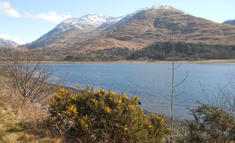 Beinn Sgulaird and Creach Bheinn above Loch Creran