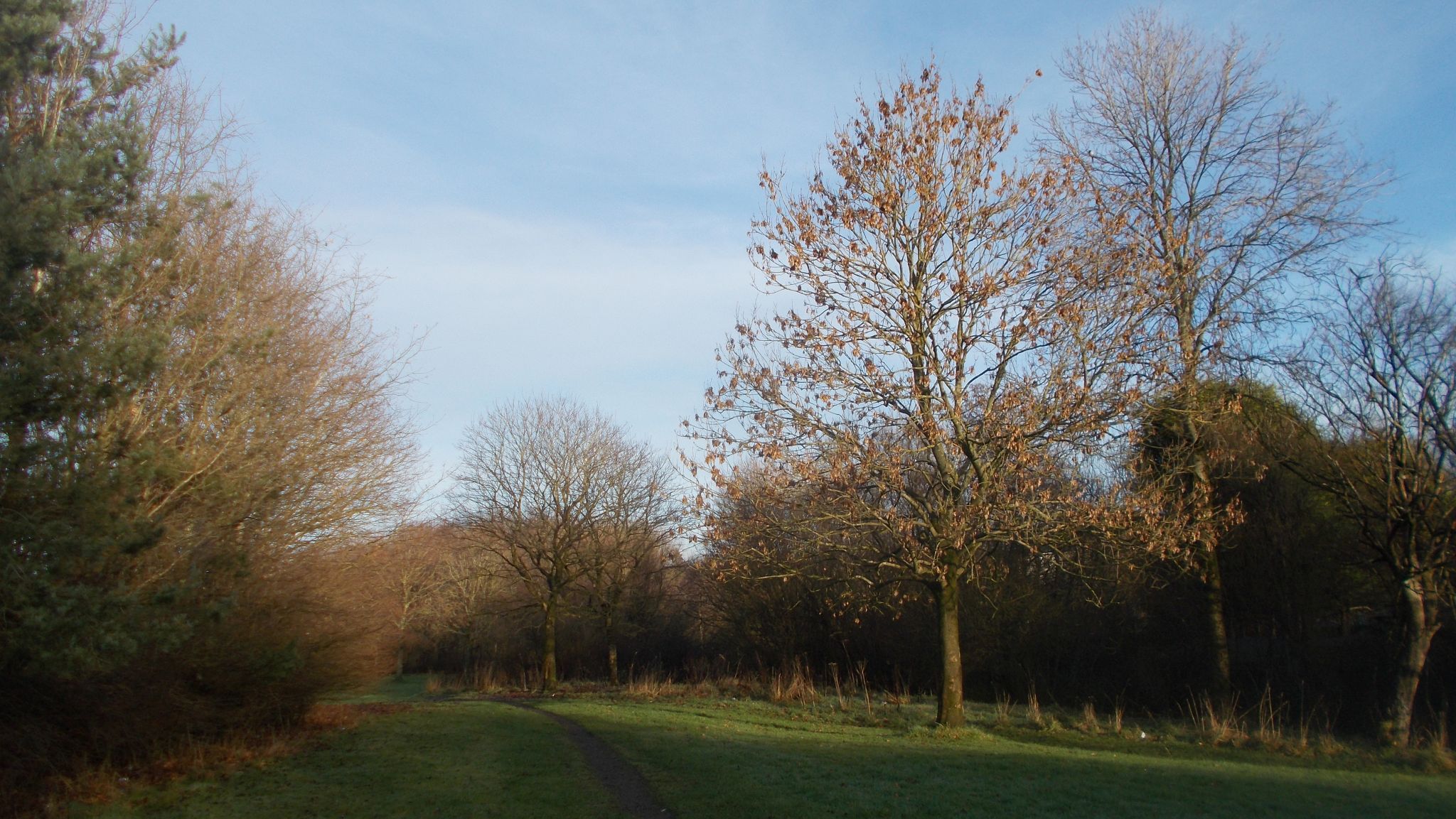 Woodland path to Kinfauns Drive