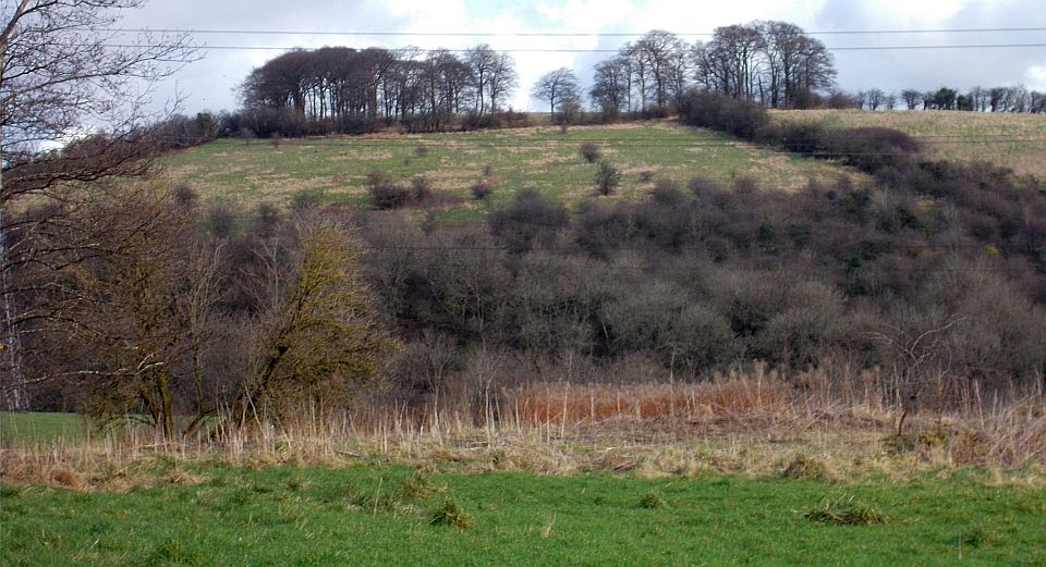 Castle Hill from Garscadden Woods West