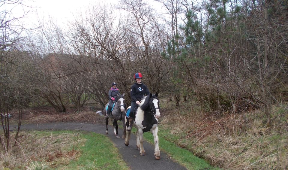 Horse riders in Garscadden ( Bluebell ) Woods