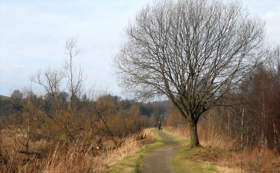 Path from Dumbarton to Strathleven House