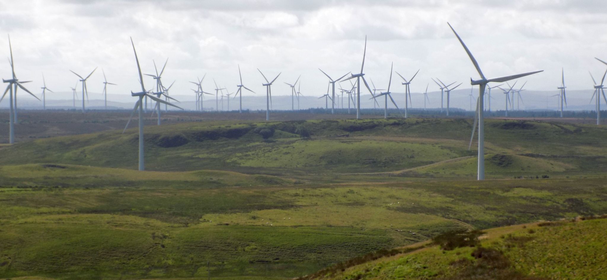 Turbines at  Whitelee Windfarm