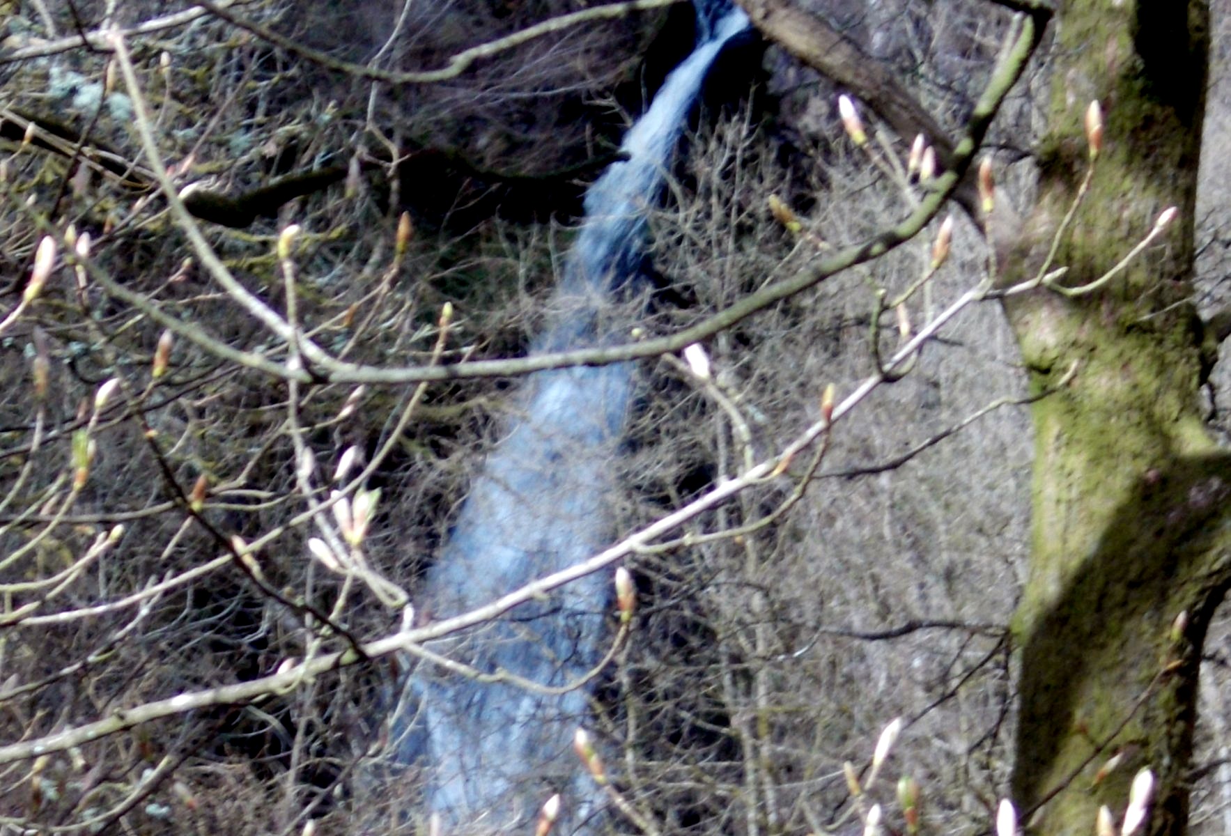 White Spout Waterfall on Finglen Burn in Campsie Glen