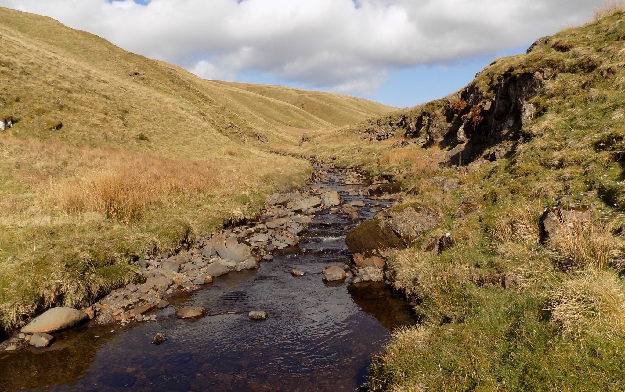 Finglen Burn