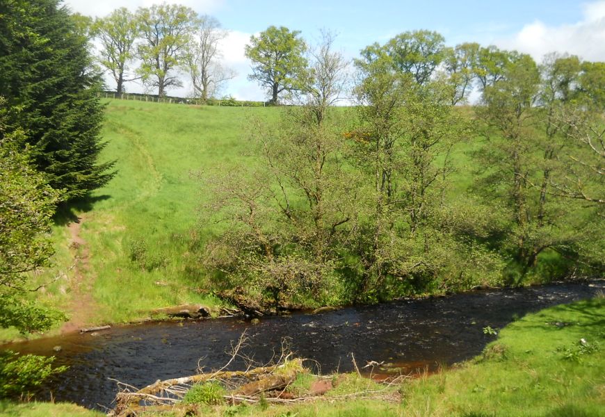 Carnoch Burn in Finnich Glen at exit from Gorge