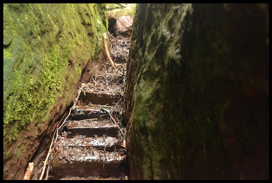 Stone stairway ( " Jacob's Ladder " ) into Gorge in Finnich Glen