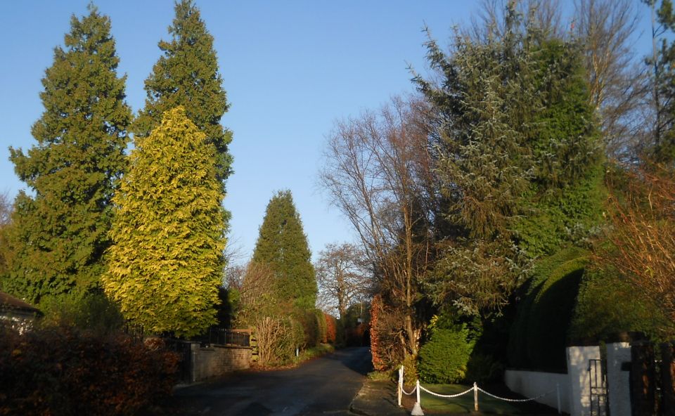 Lane from Gartconnel Road to Manse Road