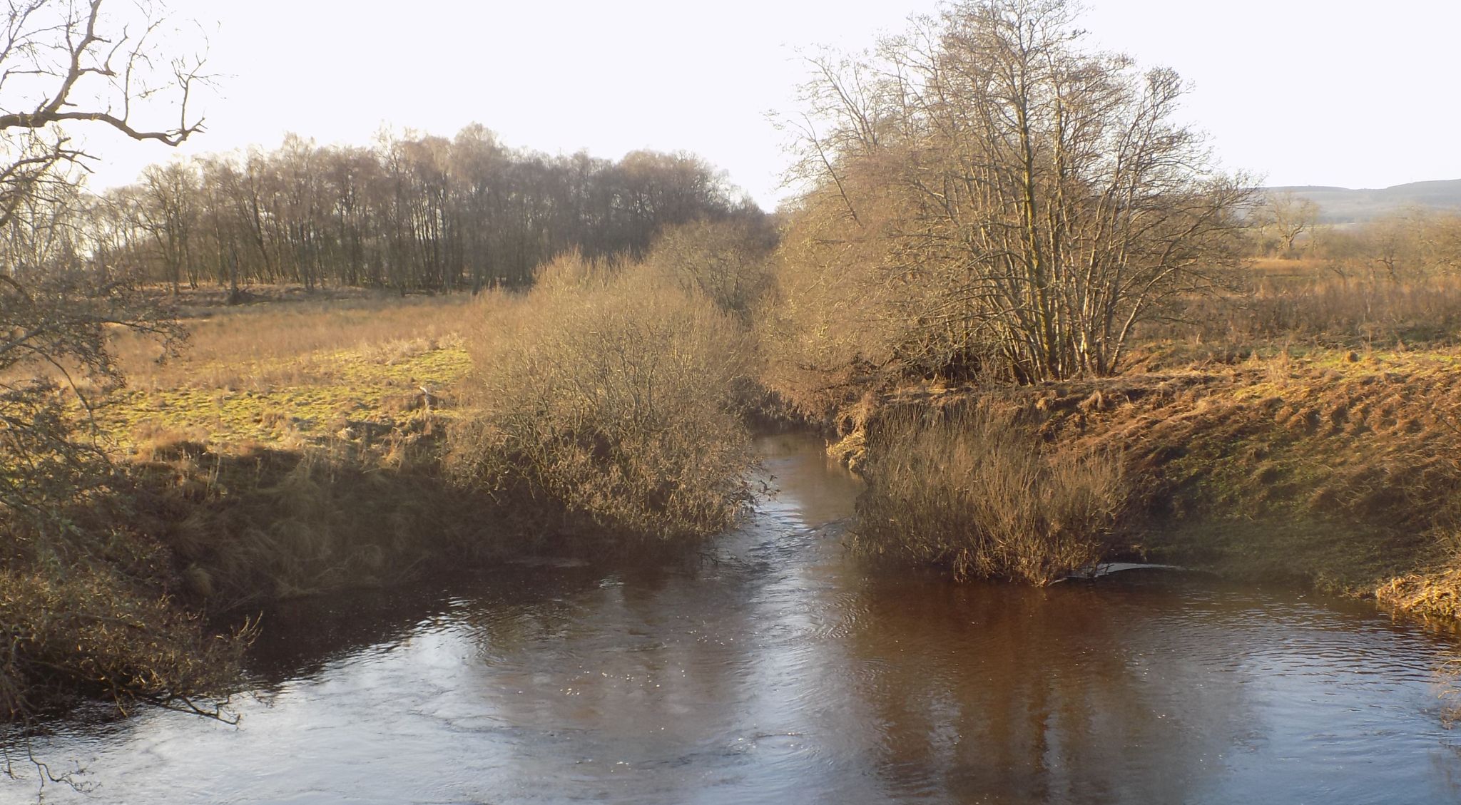 The Kelty Water