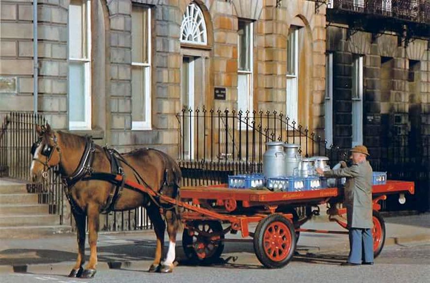 Horse drawn milk cart