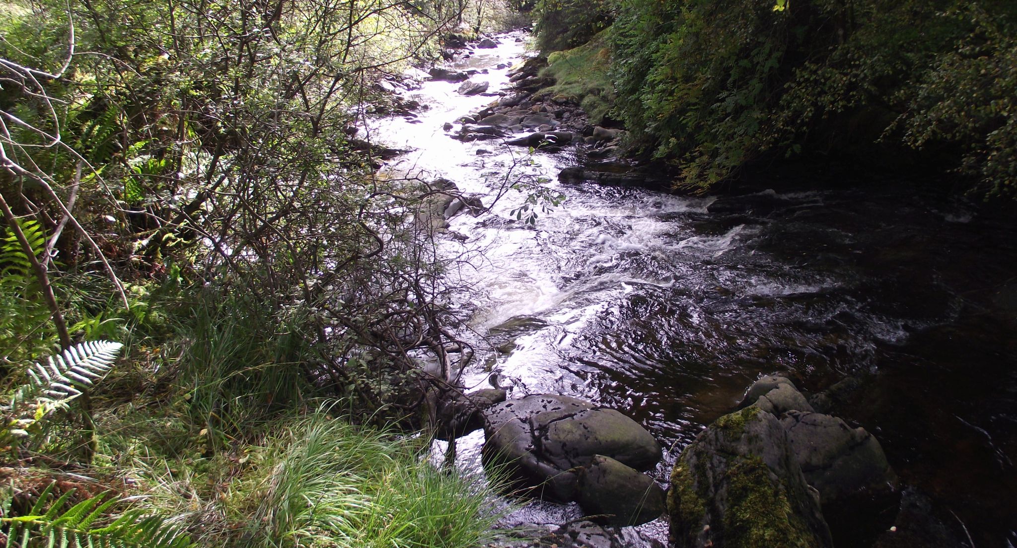 Kendrum Burn