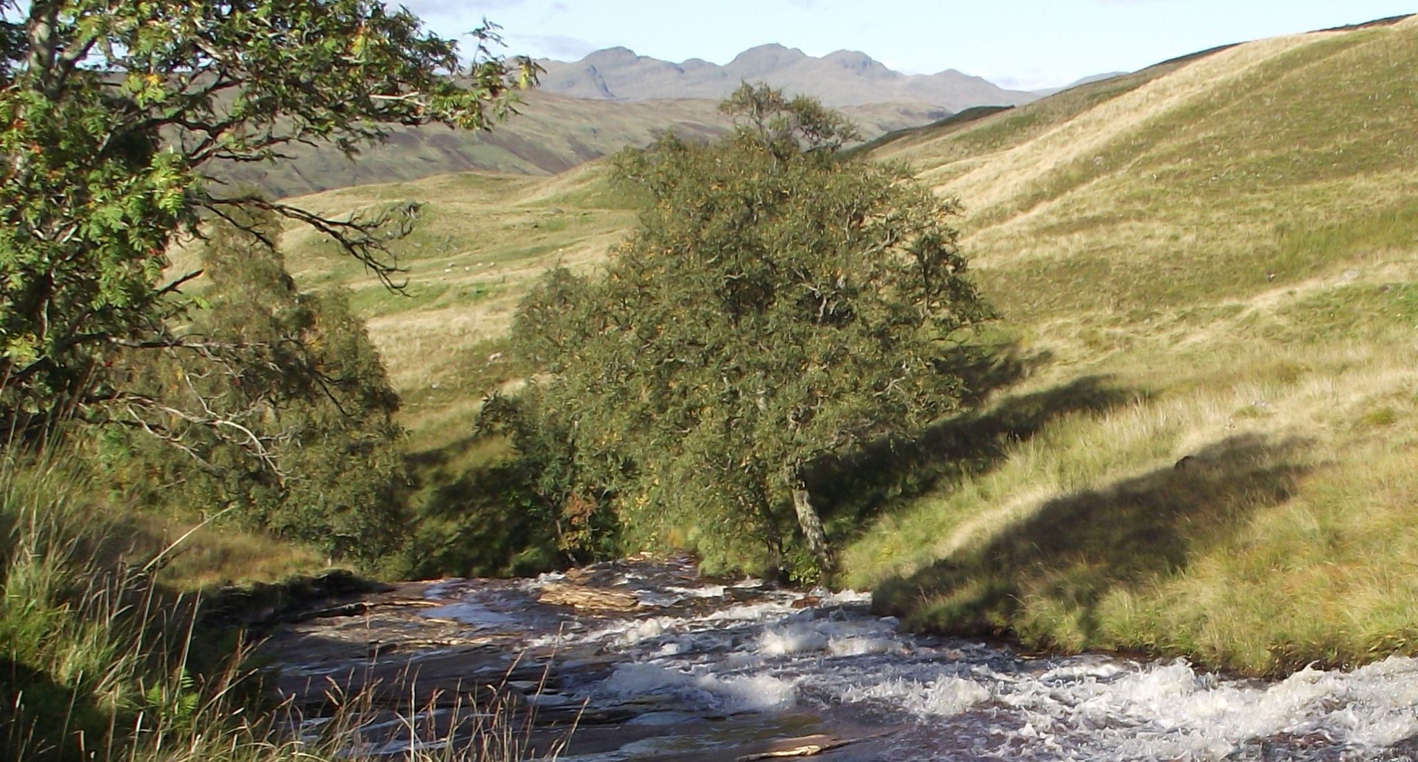 Ardchyle Burn in  Gleann Dubh