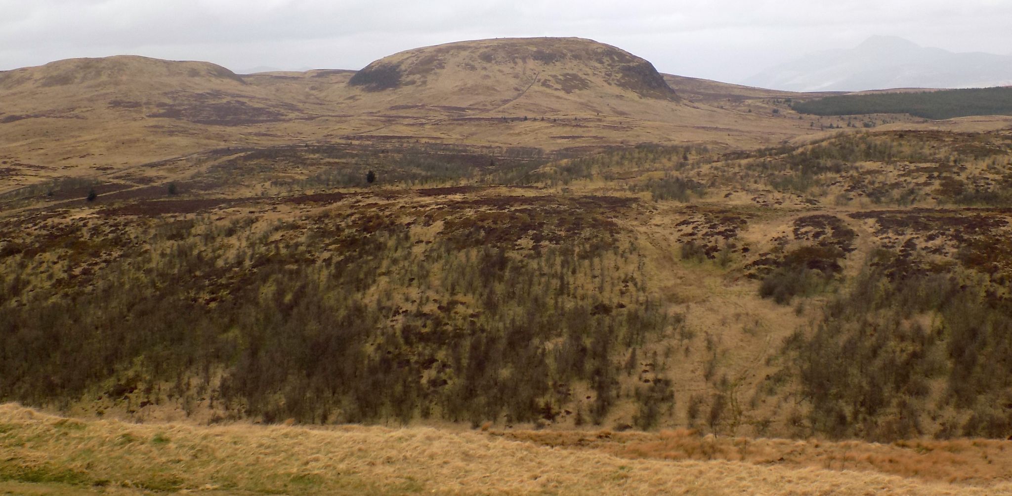 Duncolm from Cochno Hill