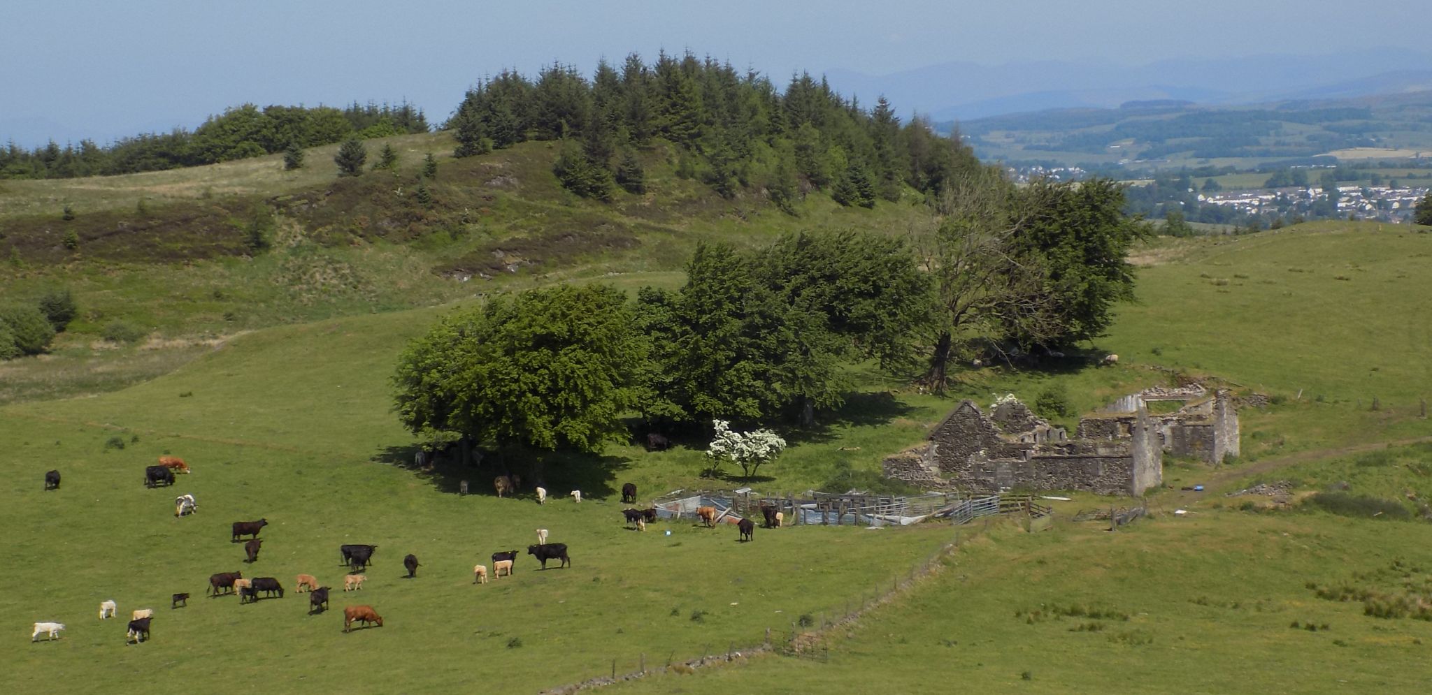 Derelict farm buildings at Northcastle Walls from Loch Walls Hill