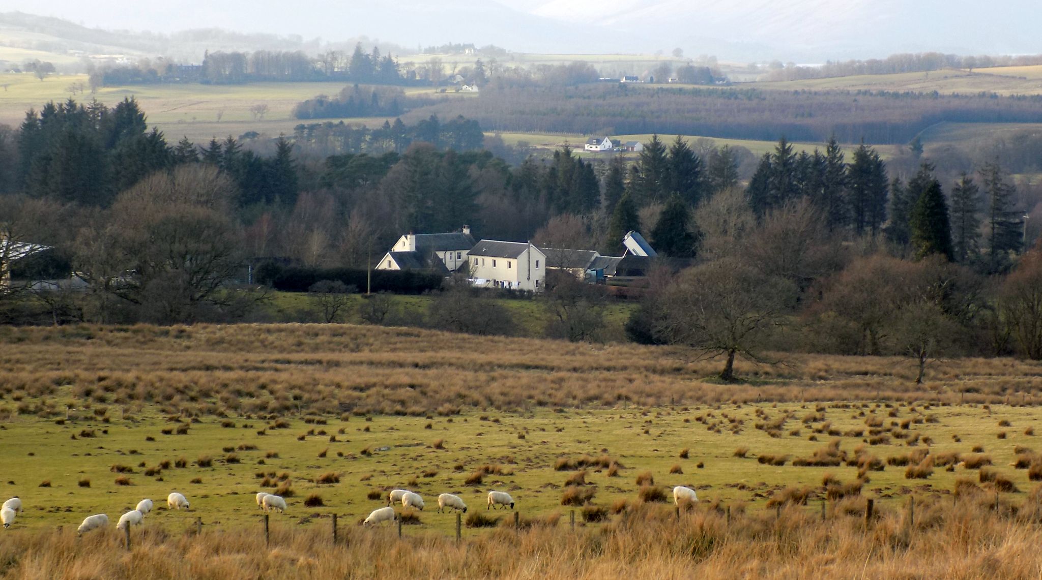Wester Cameron Farm