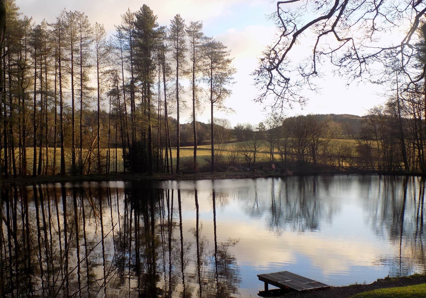 Fishing Pond in Milton Wood at Kilmacolm