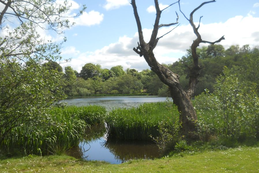 Kilmardinny Loch in Bearsden