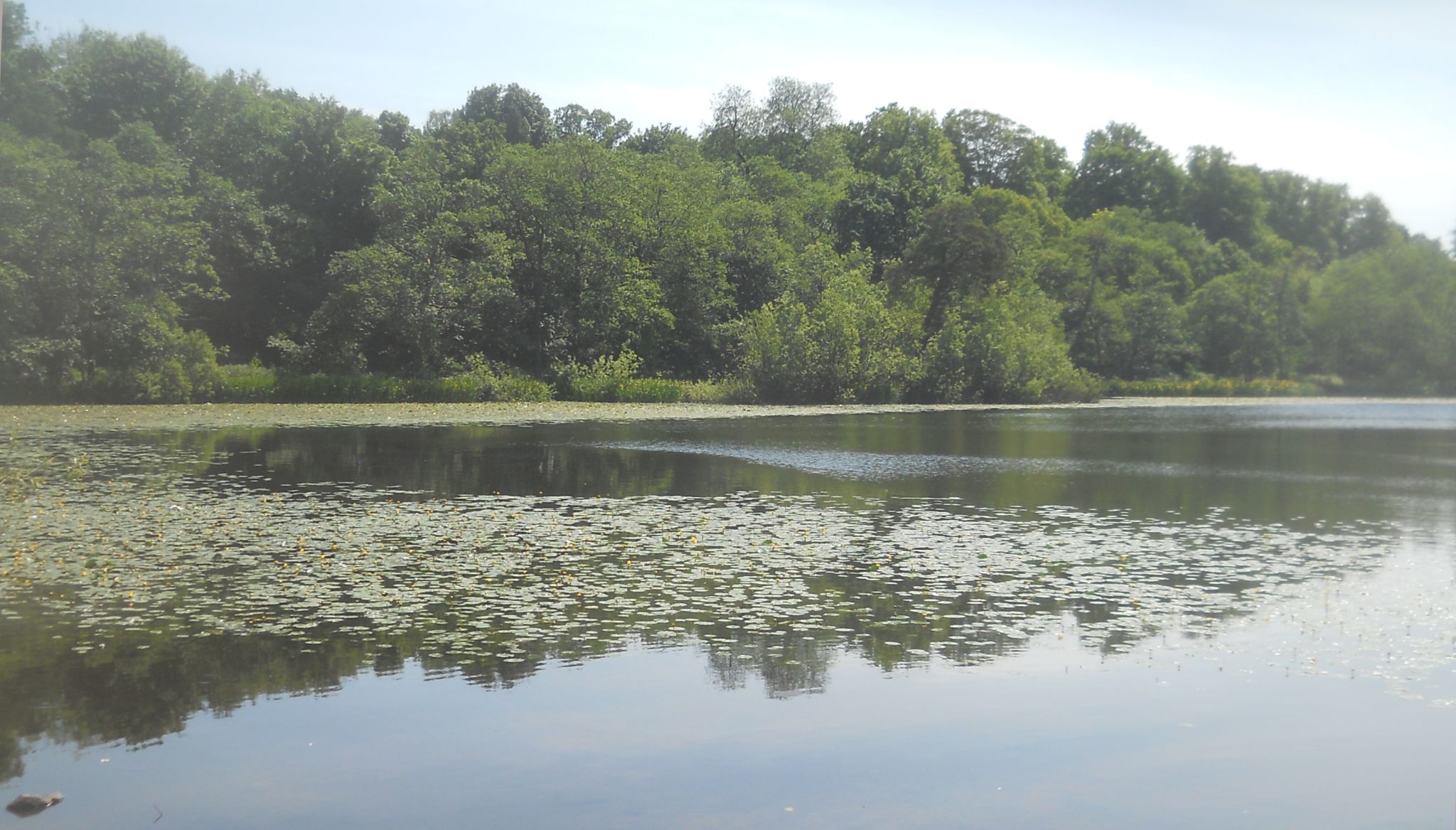 Kilmardinny Loch in Bearsden