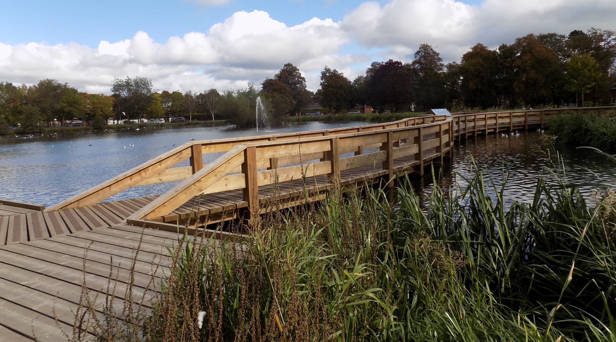 Pond in Kay Park