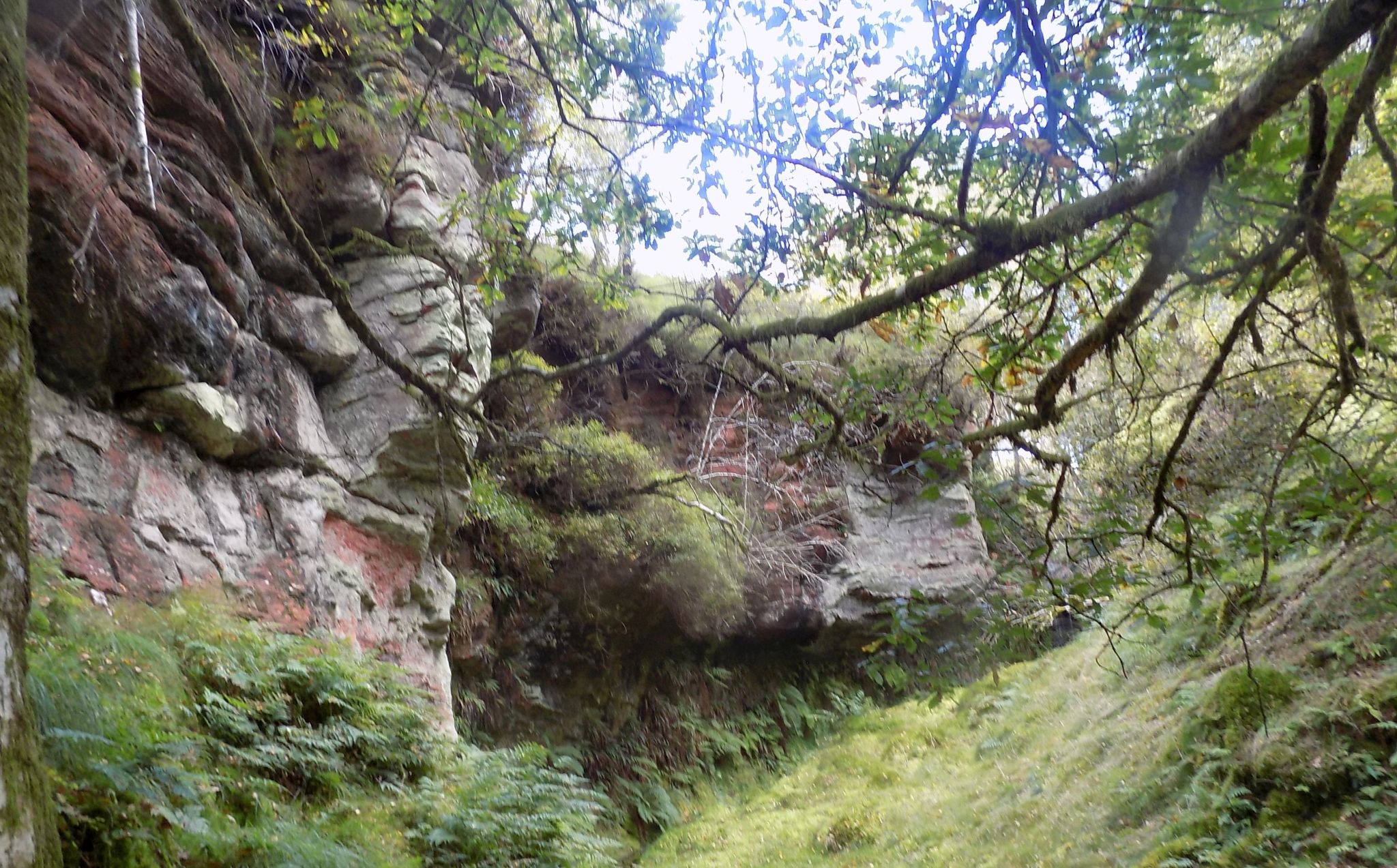 Rock buttress above tributary of Boquhan Burn