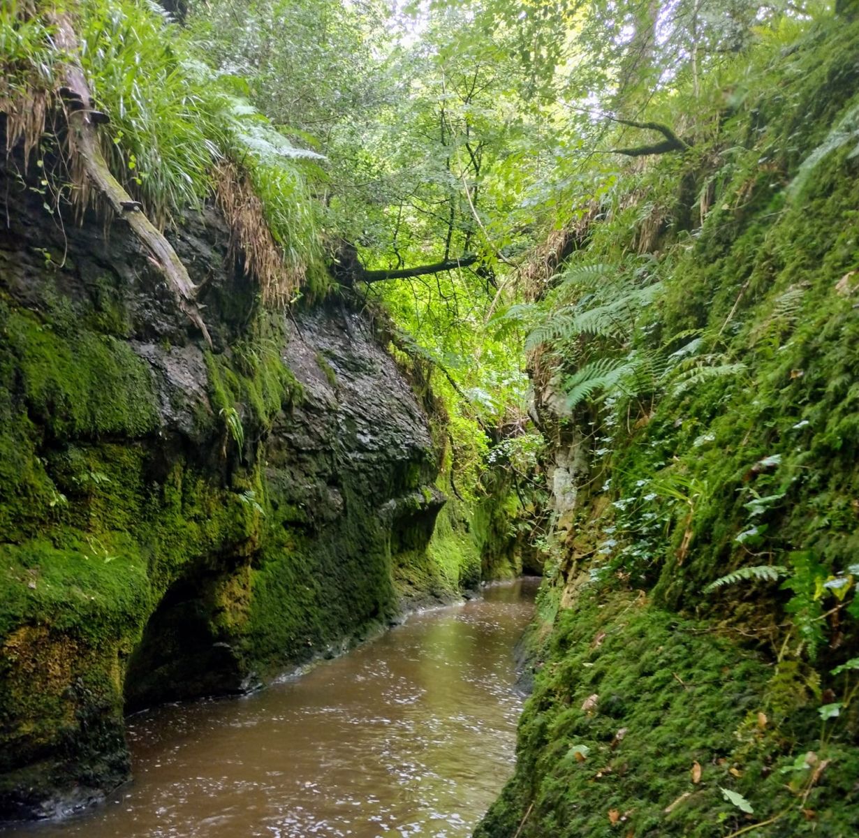 Entrance to the "Whale's Belly"  in the gorge of Boquhan Burn
