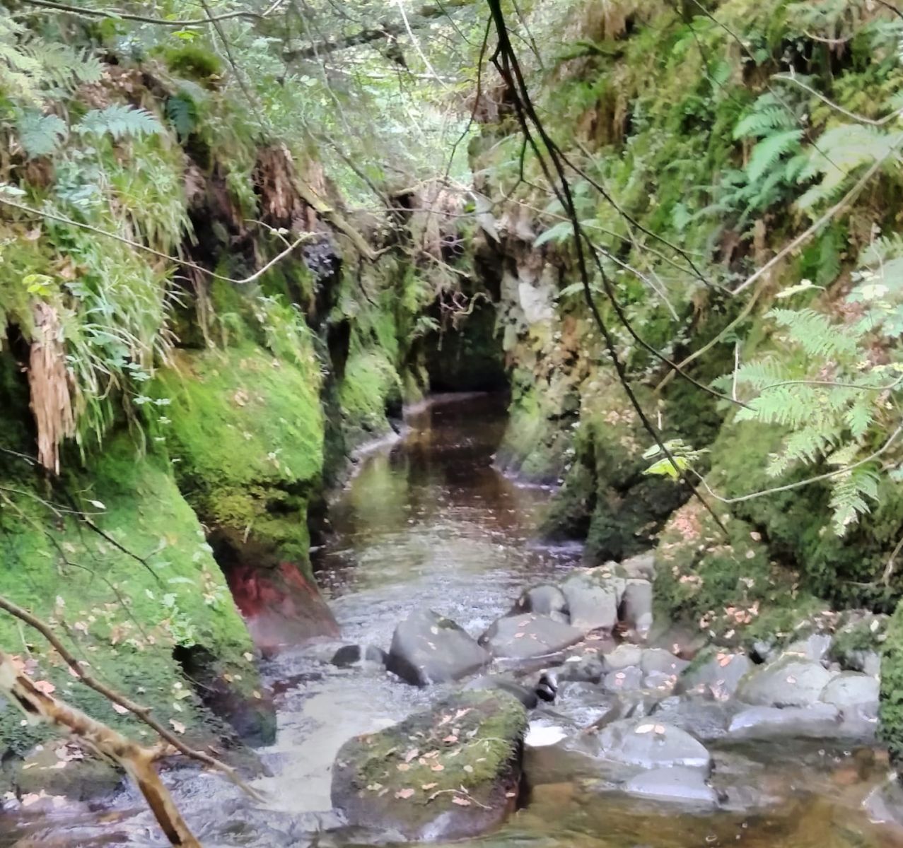 Entrance to the "Whale's Belly"  in the gorge of Boquhan Burn