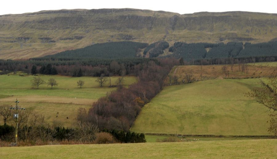 Gargunnock Hills from Dasher Farm