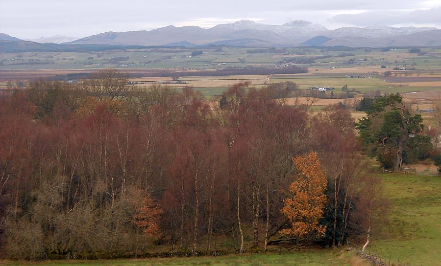 Southern Highlands beyond Burnside Woodland on decent from Dasher Farm