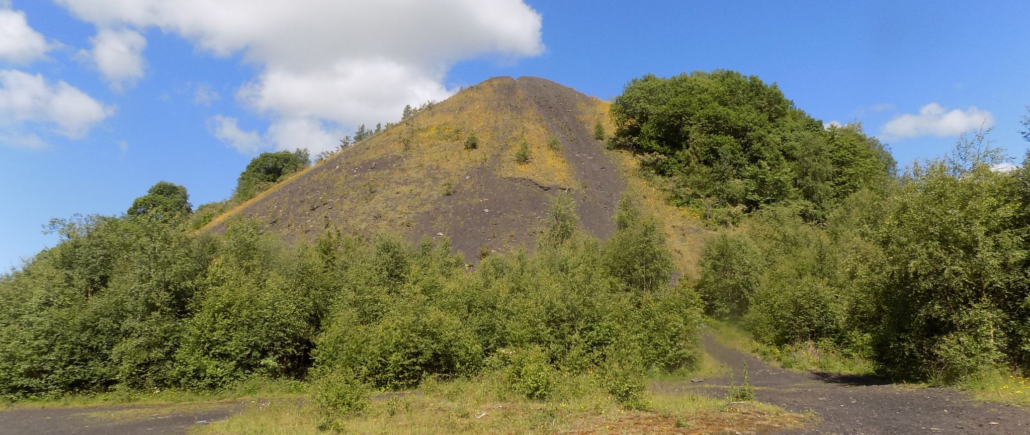 The Gartshore Bing at Kirkintilloch