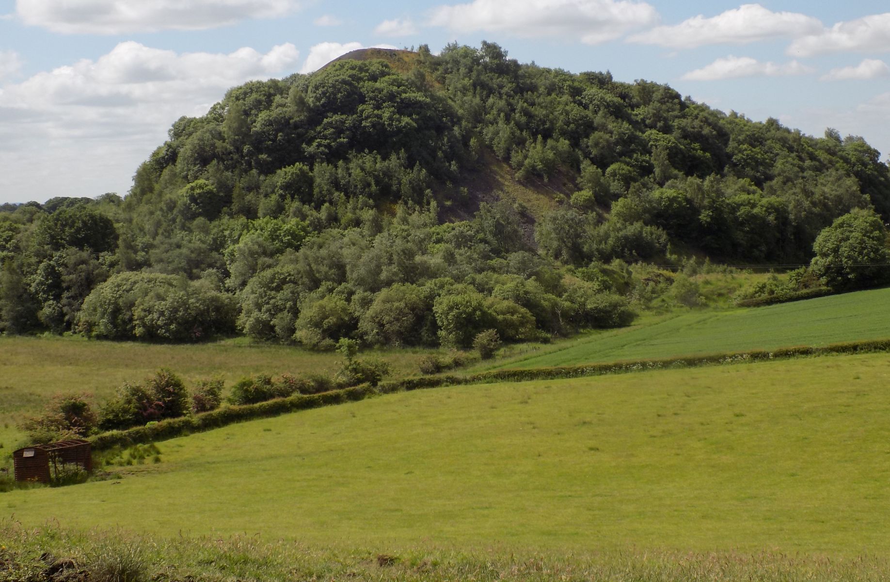 The Gartshore Bing from Wester Gartshore at Kirkintilloch