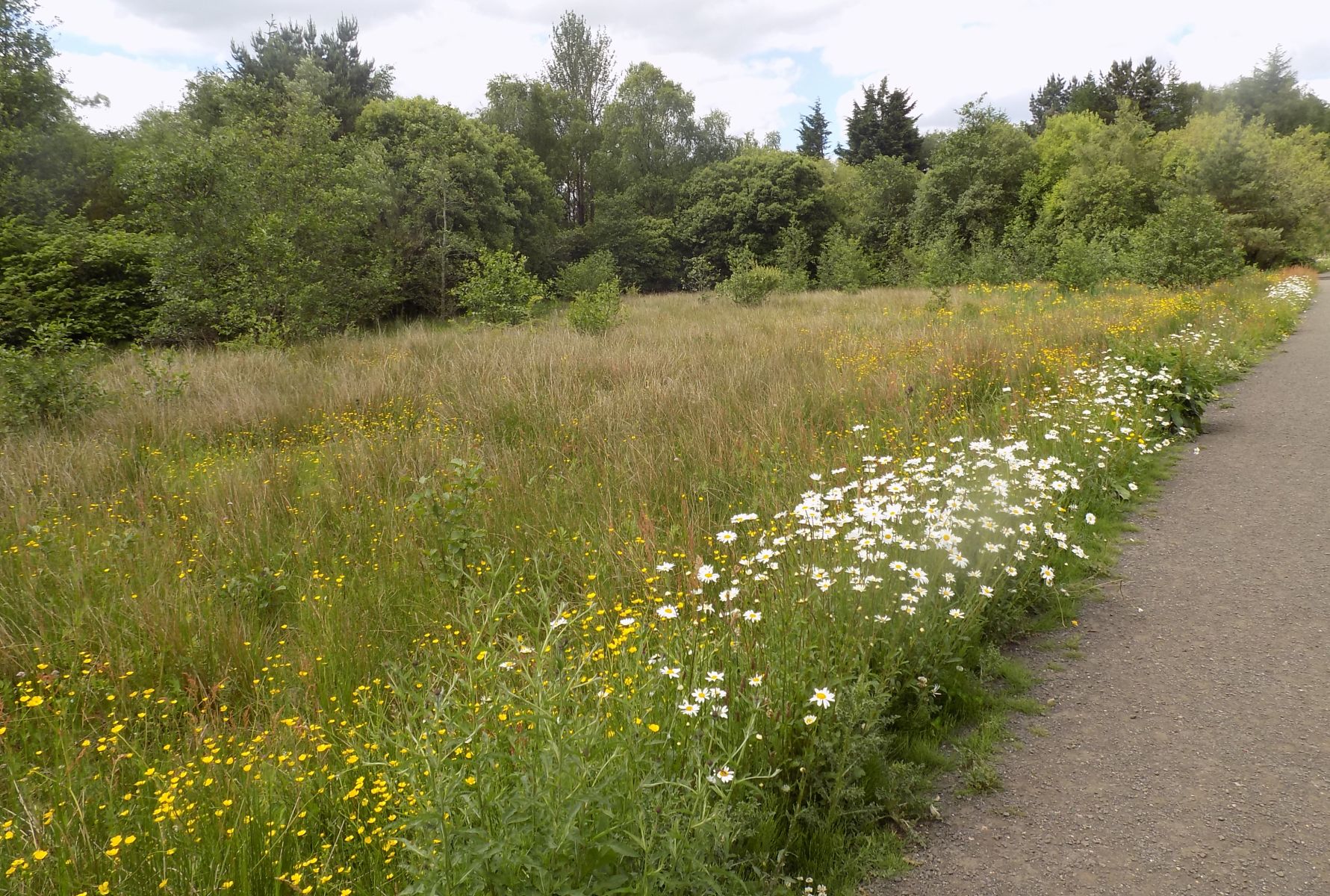 Merkland Nature Park in Kirkintilloch