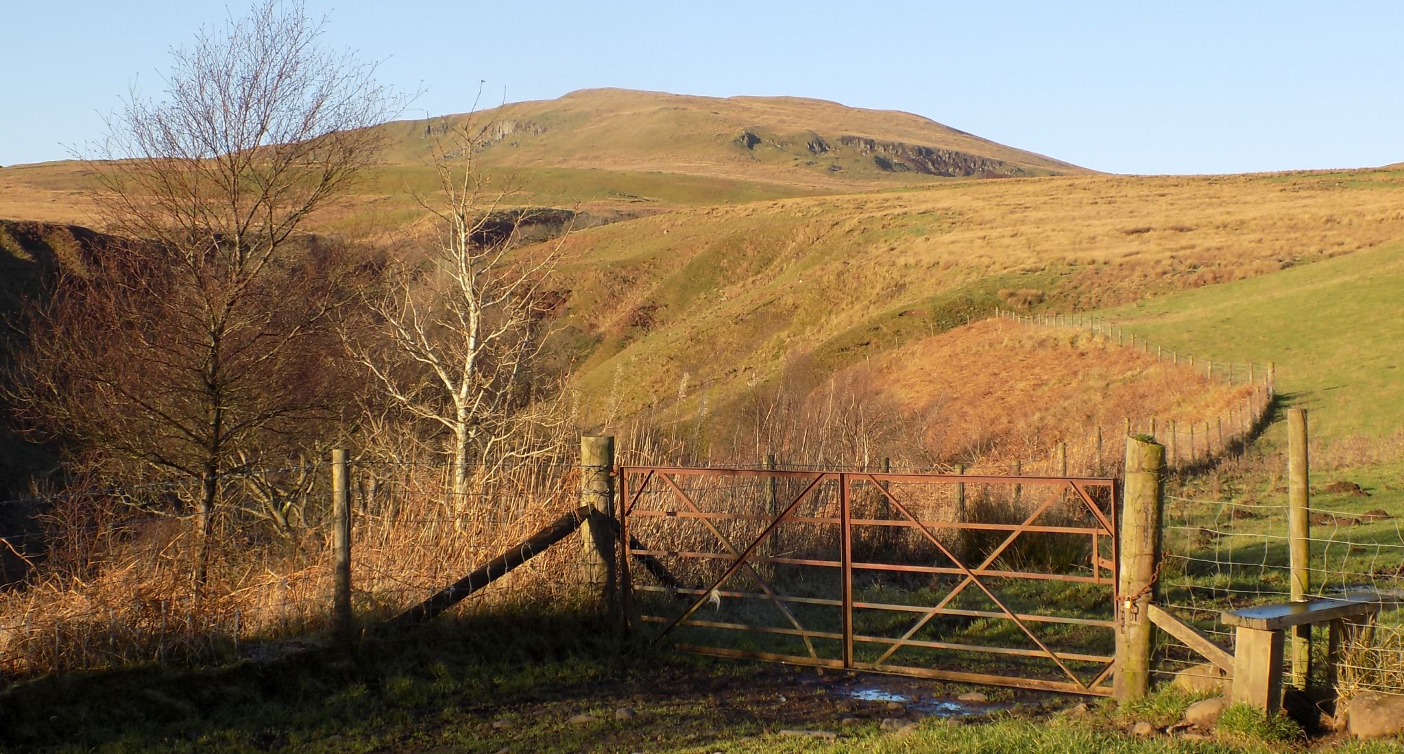Laird's Hill from Chapman's Road