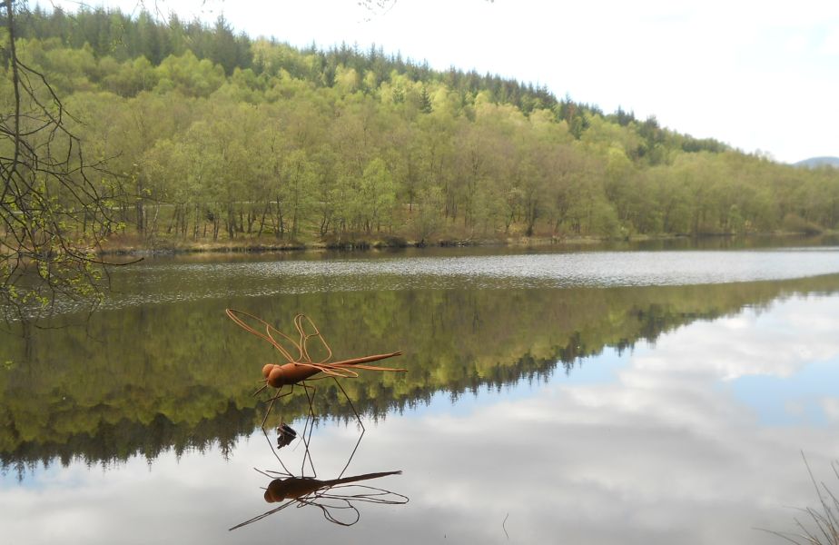 Dragonfly Sculpture in Loch Spling