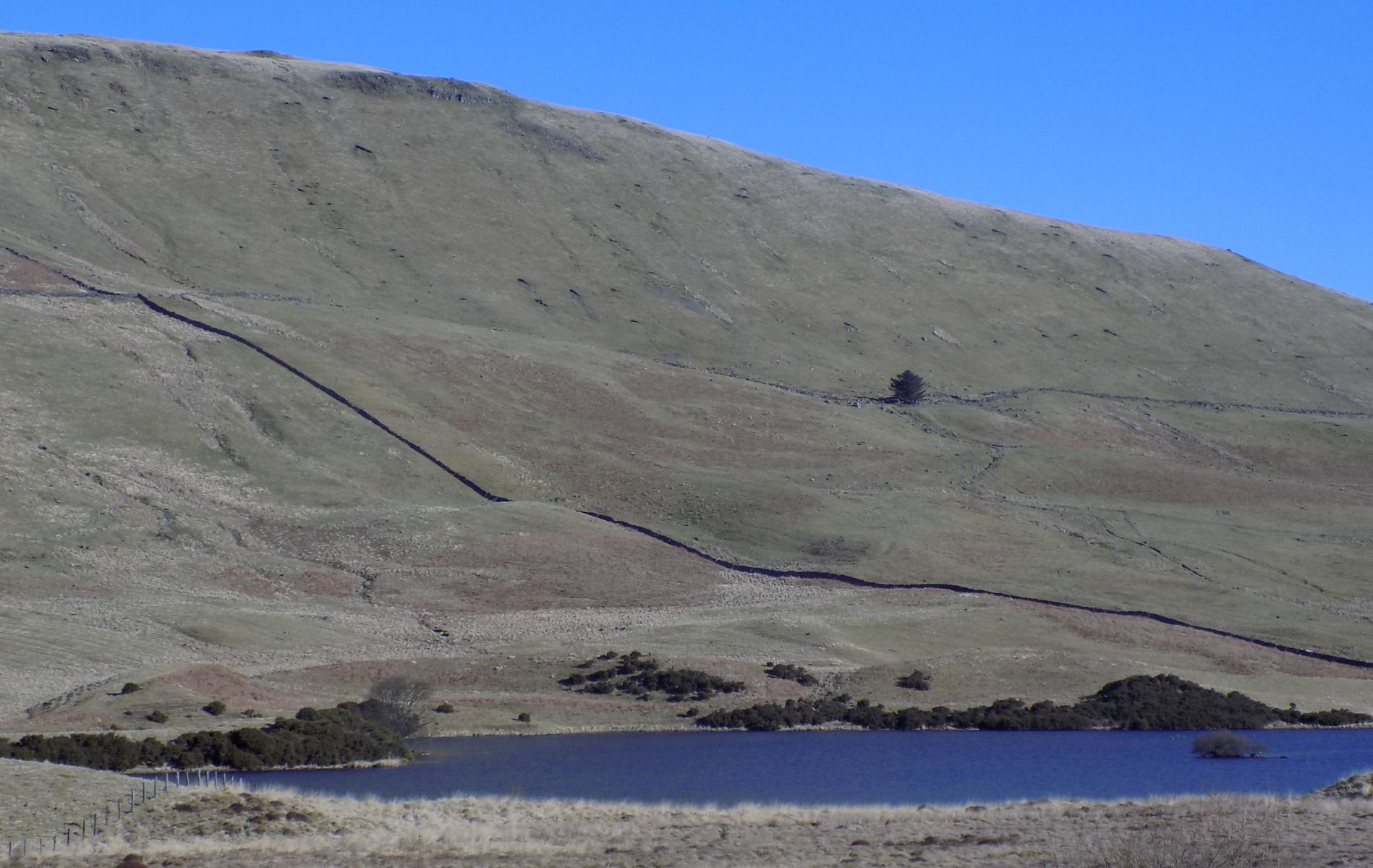 Fintry Hills above Loch Walton