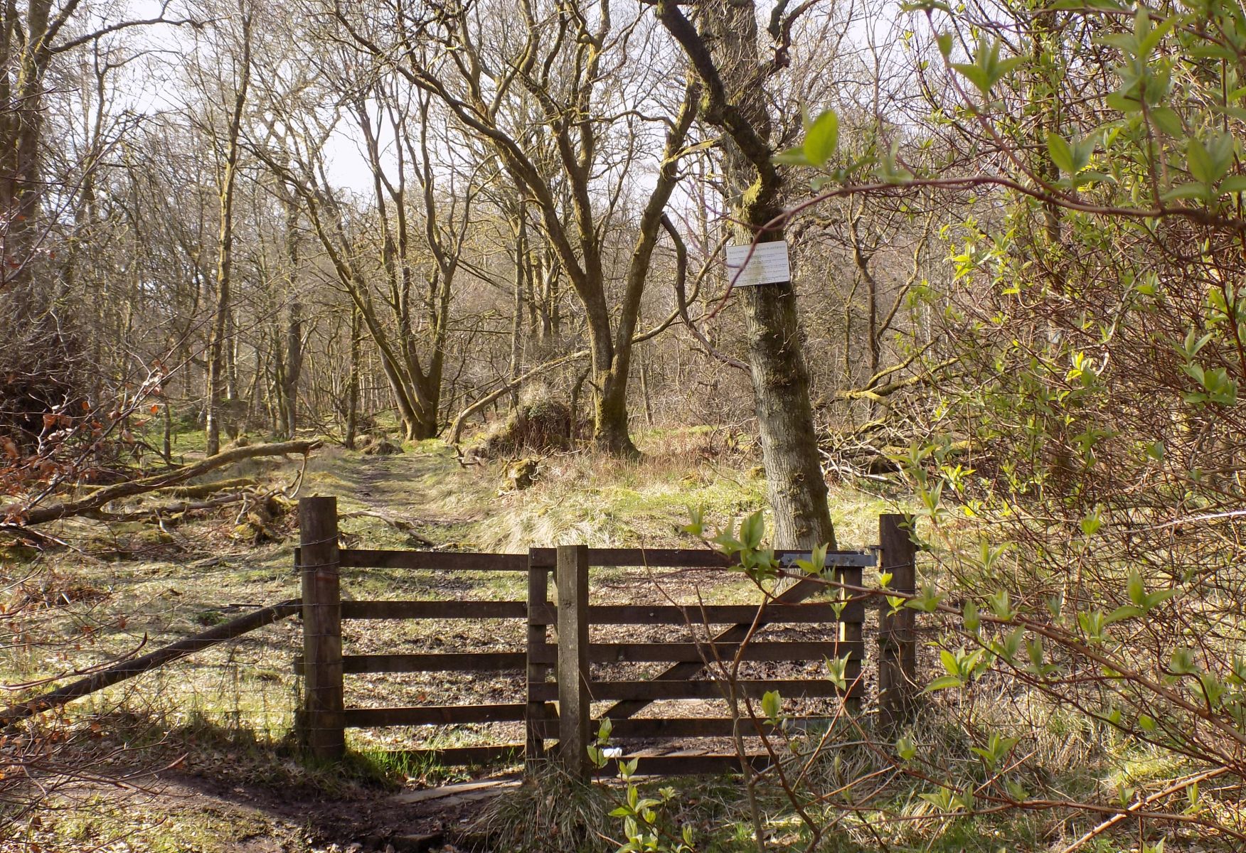 Entrance gate to Mains Wood
