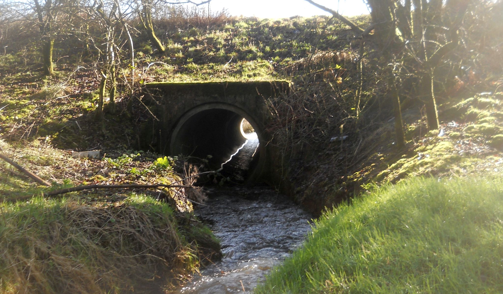 Manse Burn at Windyhill Golf Course in Bearsden