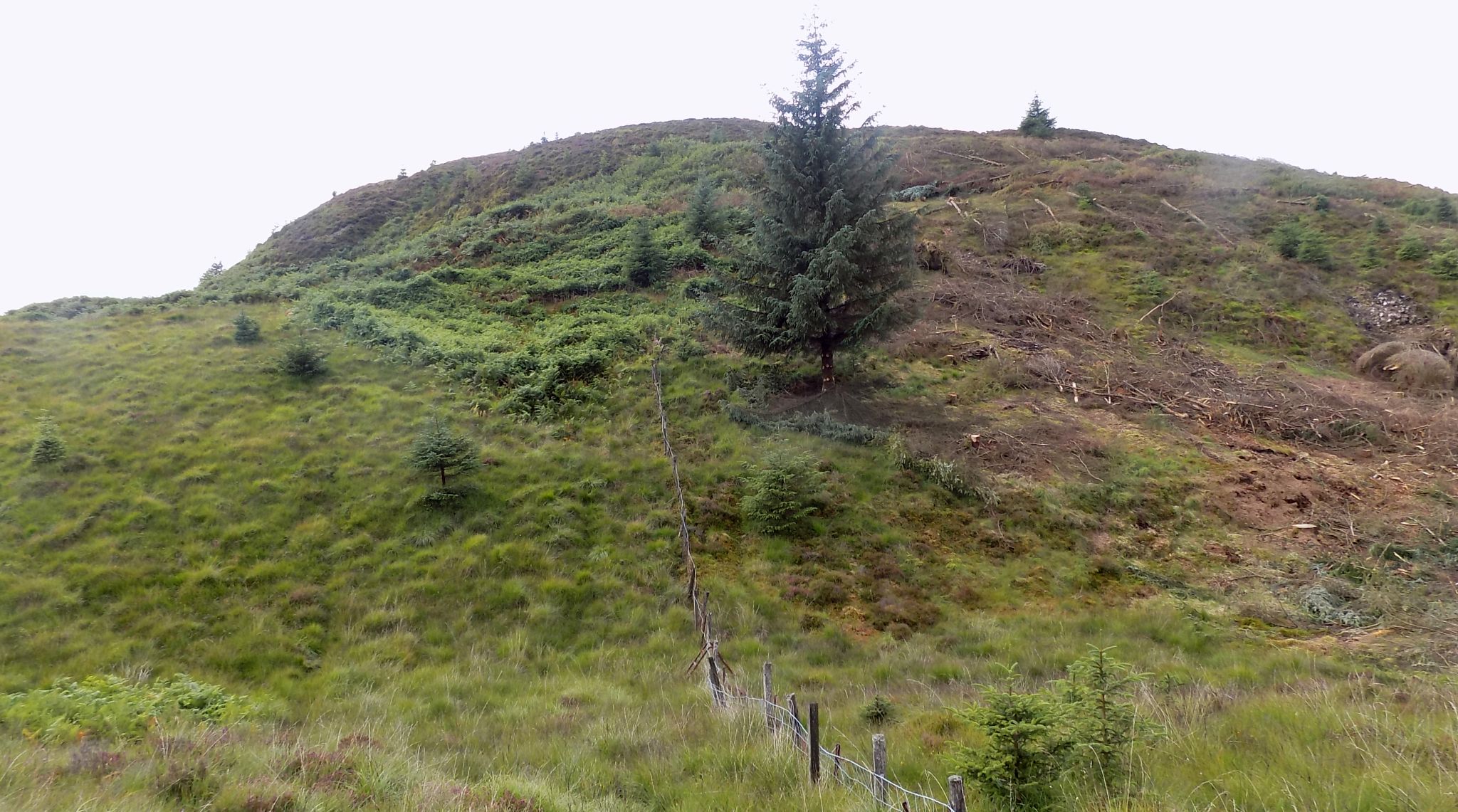 Ridge of the Menteith Hills