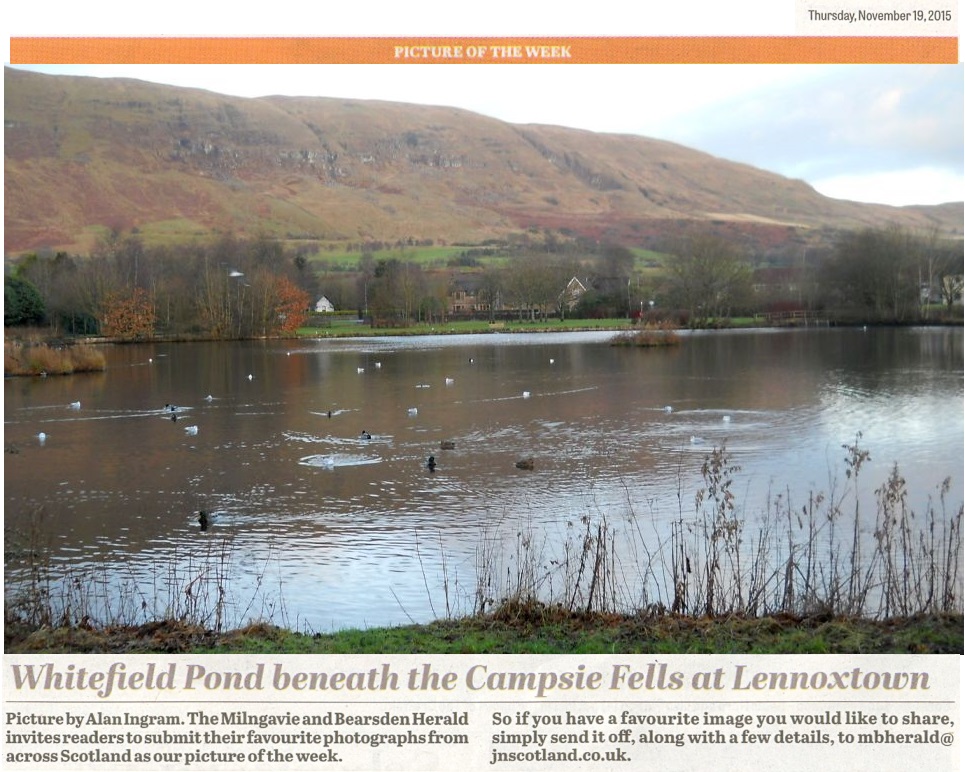 Campsie Fells above Whitefield Pond in Lennoxtown