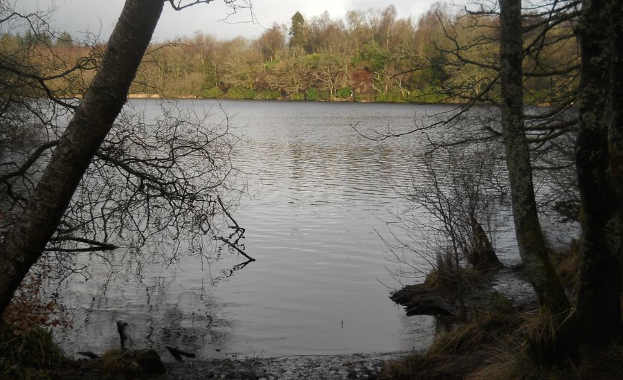 Mugdock Loch in Mugdock Country Park