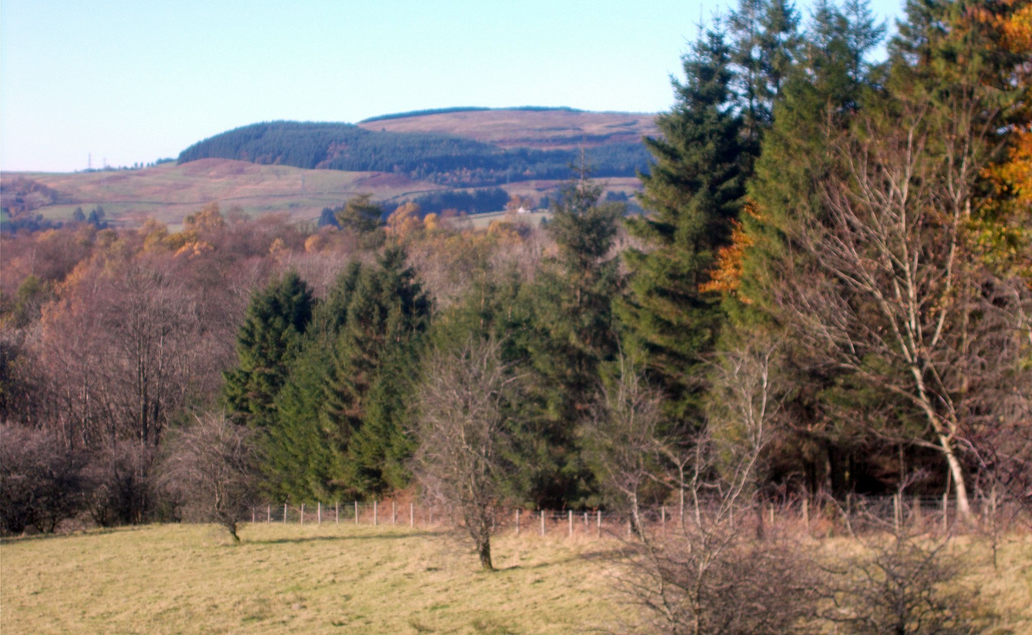 Kilpatrick Hills from moors above Mugdock Country Park