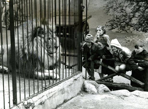 Craigend Castle Zoo - Old photo
