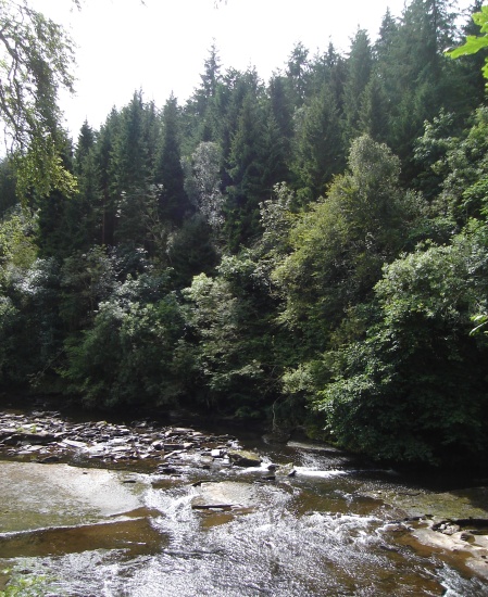 River Clyde from path to the Falls